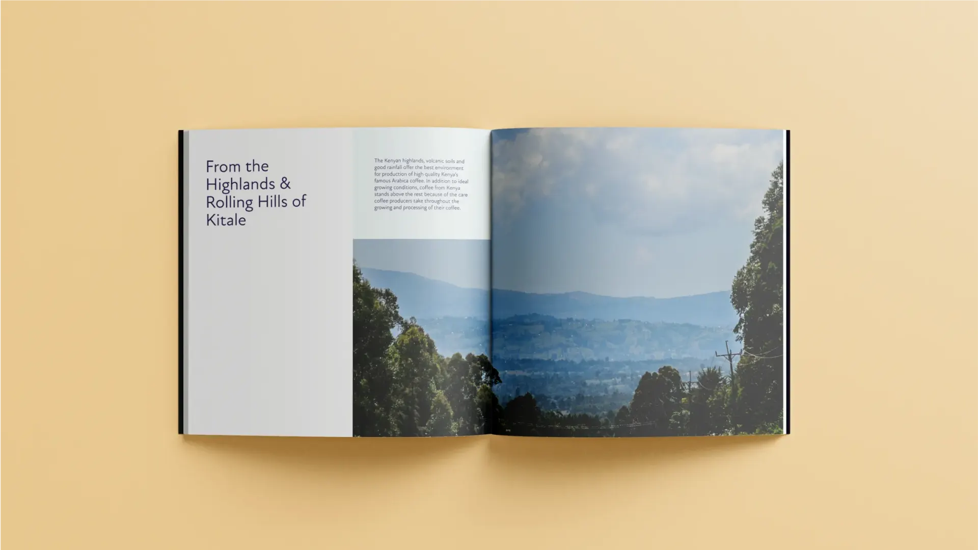 Sirwo Coffee brand identity design by 11North Studio